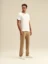 Picture of Milano Chino Straight Leg