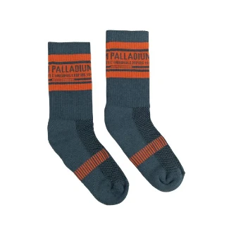 Picture of Palladium Stripe Socks